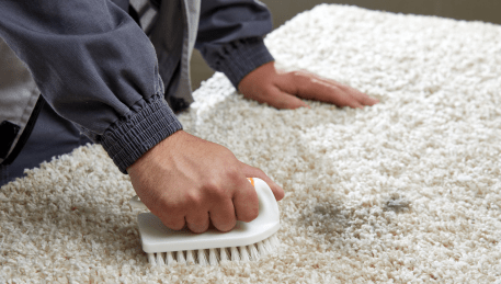 Professional Rug Cleaning Mount Toolebewong