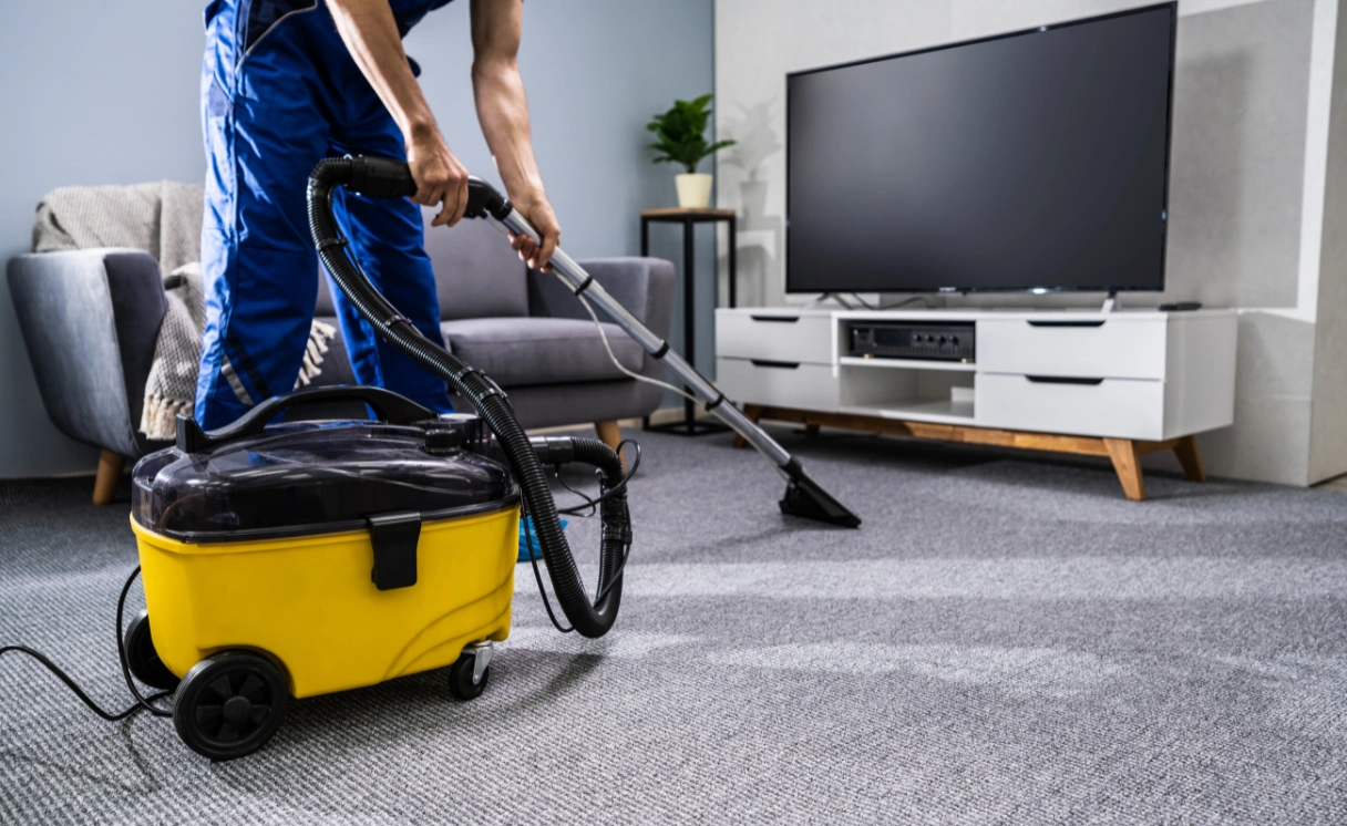 Extract Rug Cleaning Mount Toolebewong Contact Office